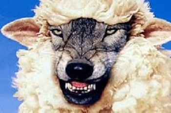 un loup déguisé en brebis