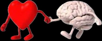 Le cœur et le cerveau doivent être connectés