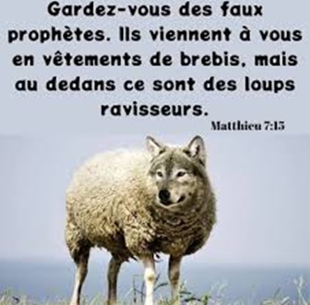 un loup déguisé en brebis